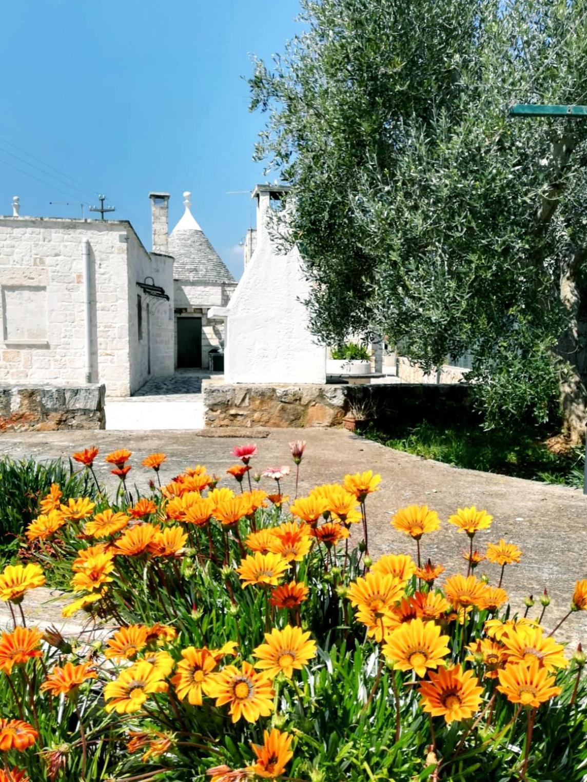 Maison Milleottocento Cisternino Exterior photo